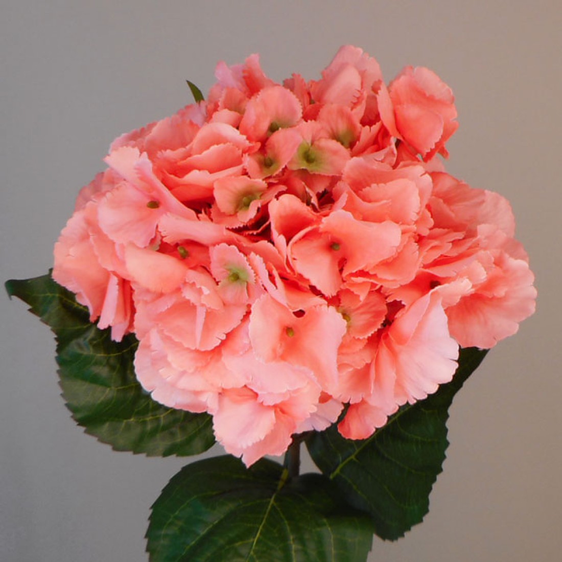 Giant Hydrangeas Coral 64cm Artificial Flowers